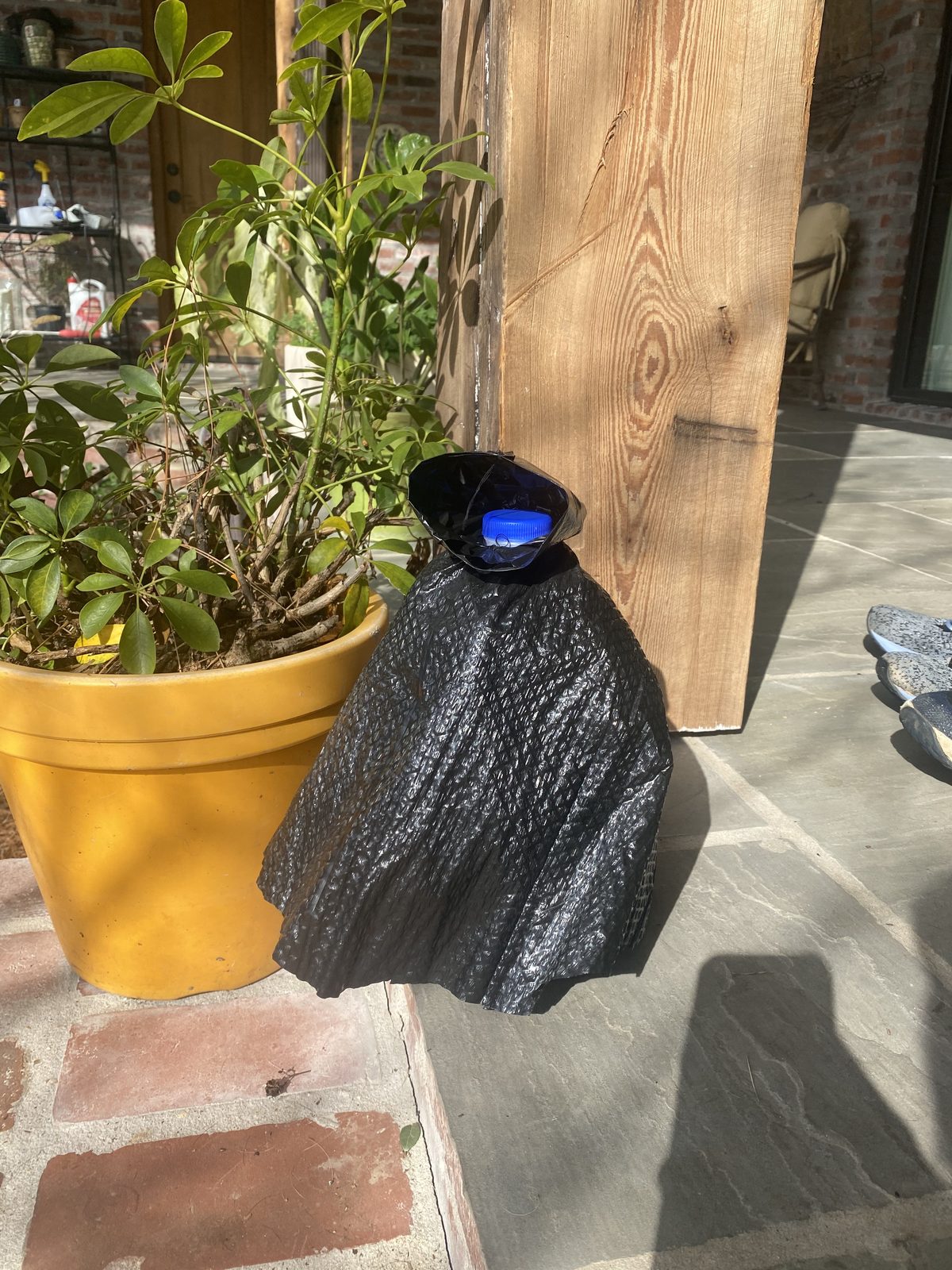 Poncho for a Milk Gallon