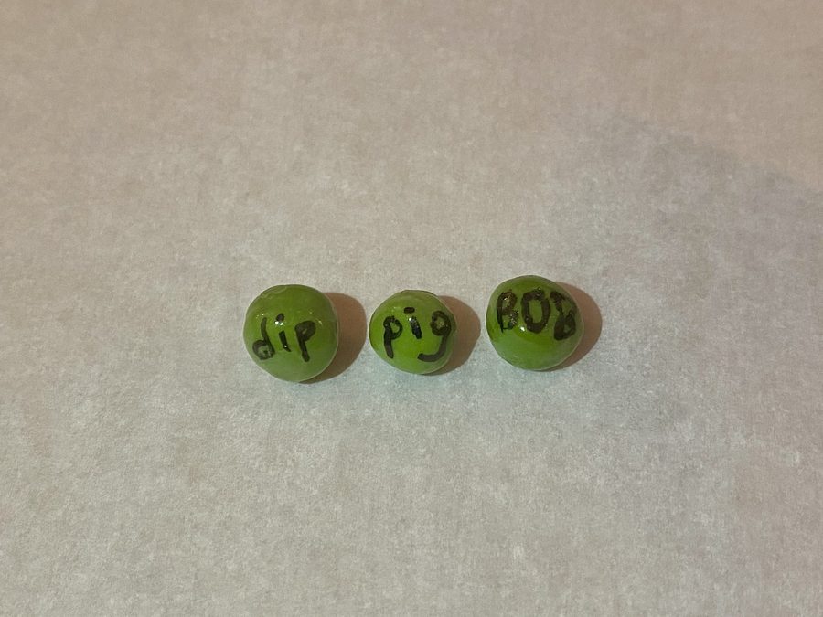 The Secret Pea